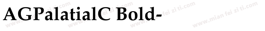 AGPalatialC Bold字体转换